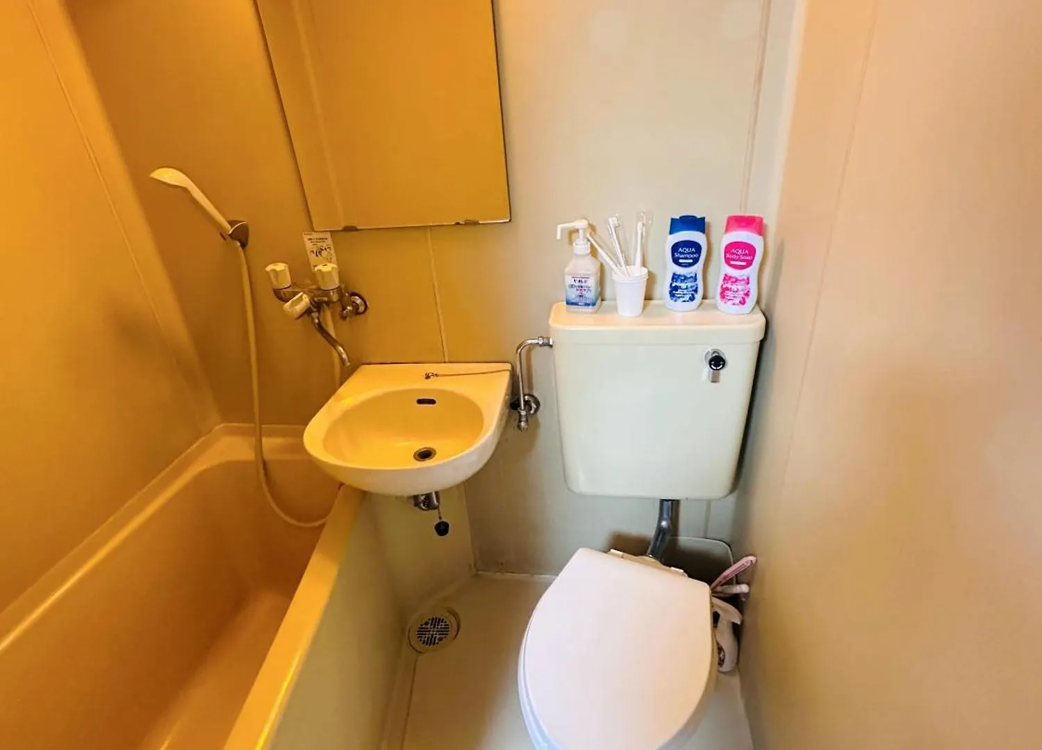 Hanabi House Inn Nishishinjuku Metro 5Mins Tokyo 0*,